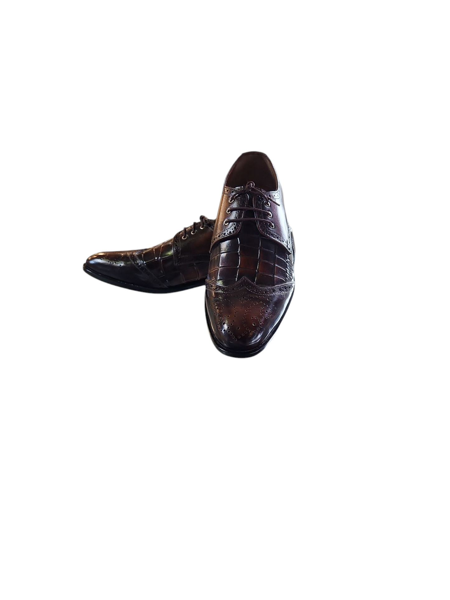 Premium Crocodile Brouge